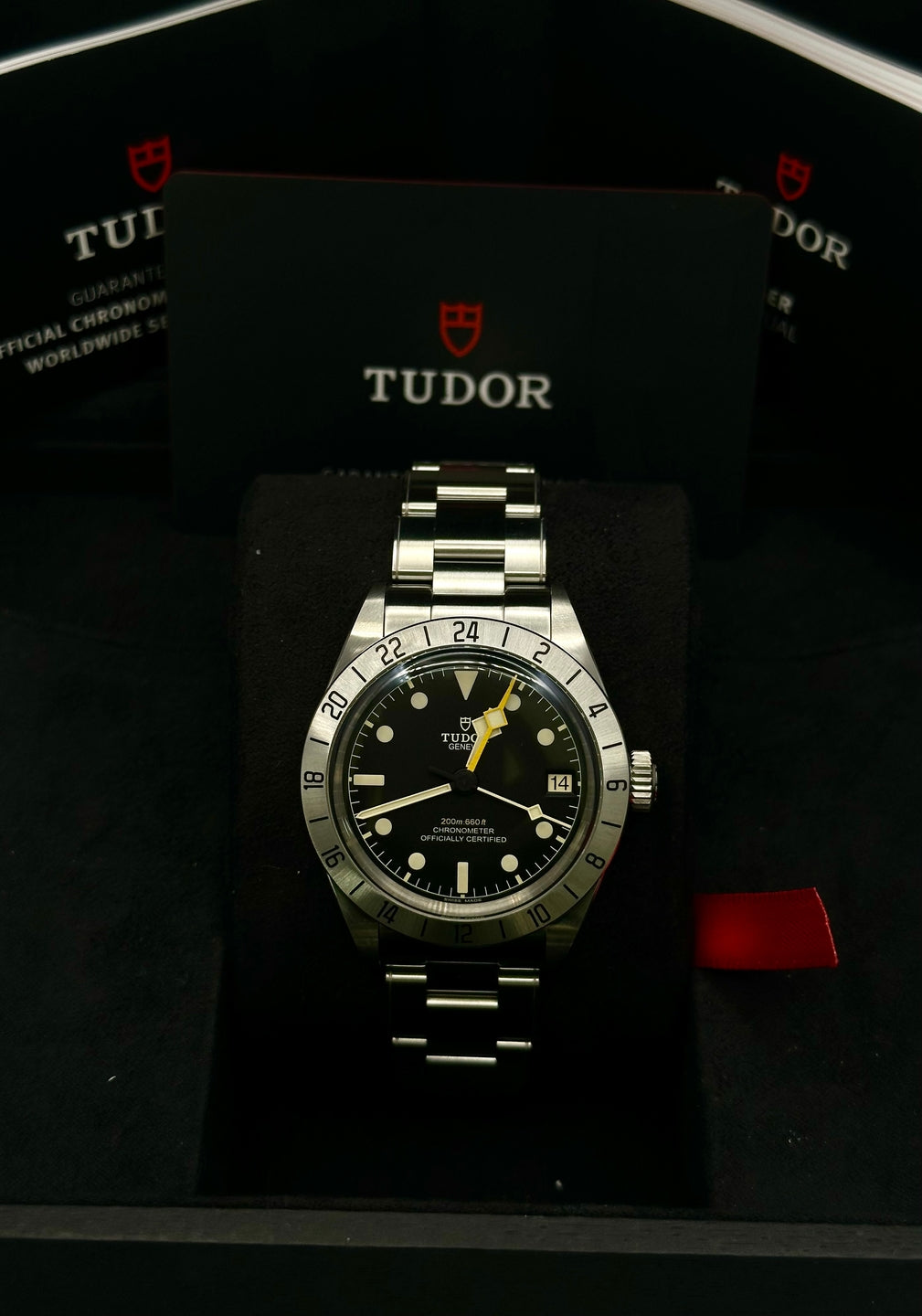 TUDOR_79470_1.jpg